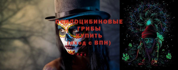 прущая мука Алзамай