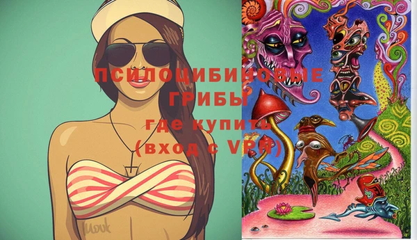 гидра Алексин