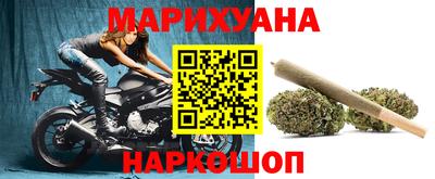 индика Ленинск-Кузнецкий