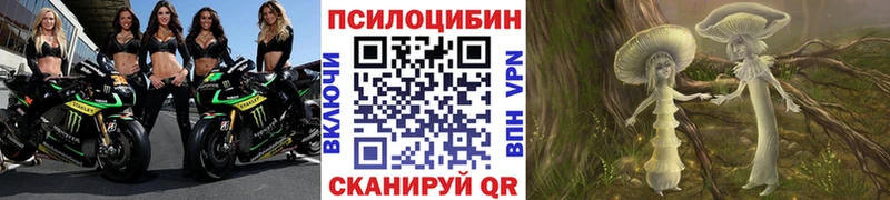 даркнет сайт сайты даркнета наркотические препараты Галлюциногенные грибы Psilocybe Урай