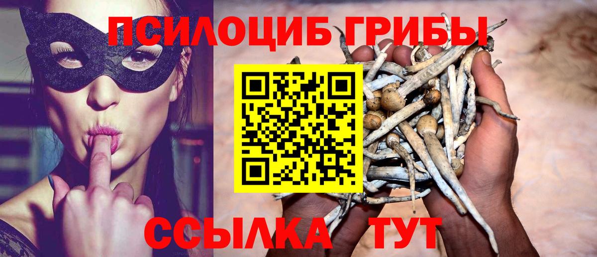 Урай  Псилоцибиновые грибы прущие грибы  Вход с VPN 