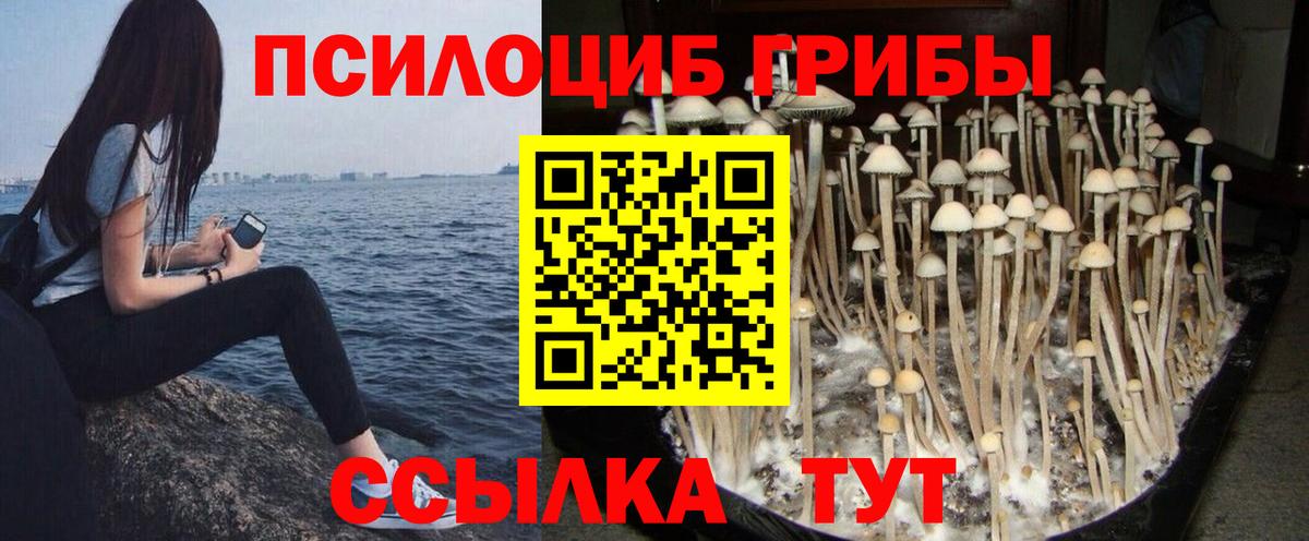 Псилоцибиновые грибы мицелий Урай