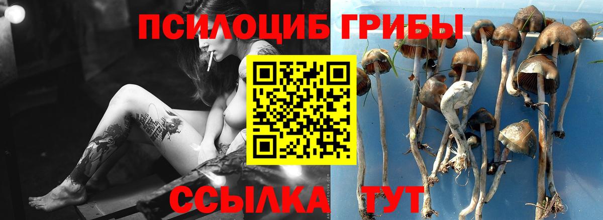 Галлюциногенные грибы Psilocybine cubensis  Псилоцибиновые грибы Psilocybe  Урай  Вход с VPN 