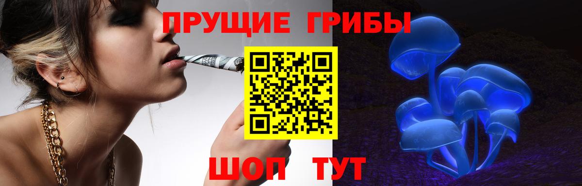 Псилоцибиновые грибы Psilocybine cubensis Урай